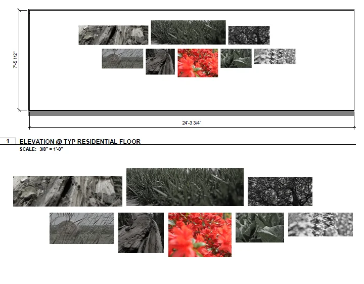 A custom composition for each elevator area: monochromatic with a pop of bright color.