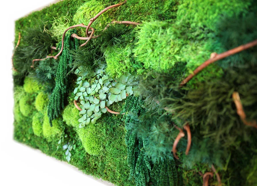 Check out this close-up detail of the moss - it is just as textural and soft as it looks! 