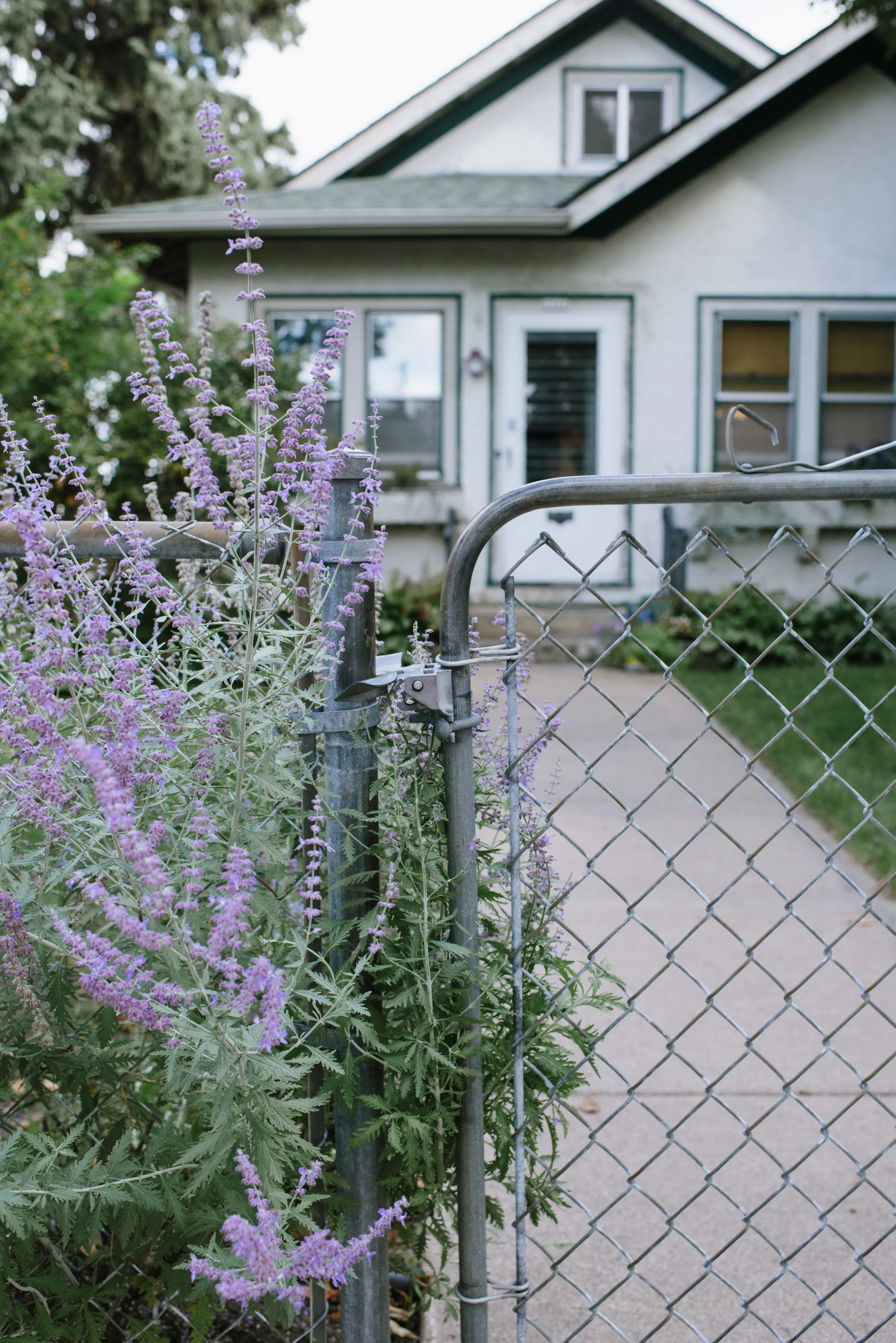 Outside-100.jpg