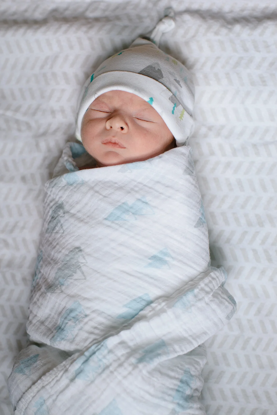 Everett-187.jpg
