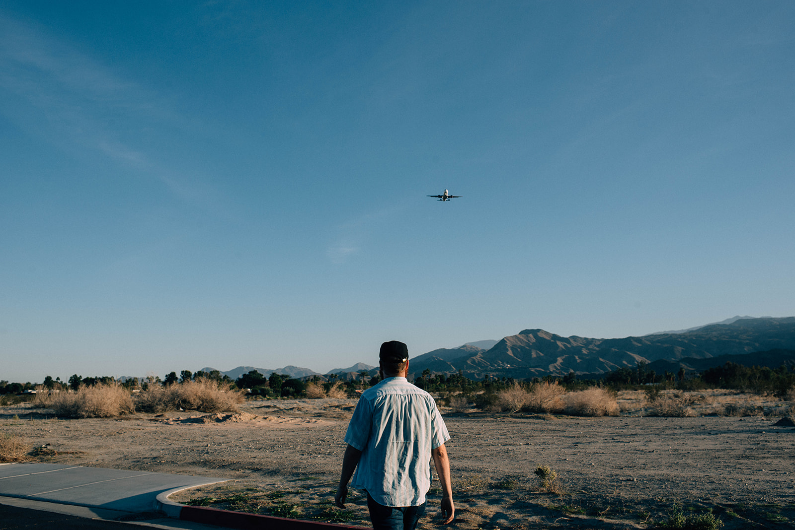Joshuatree-3_websize.jpg