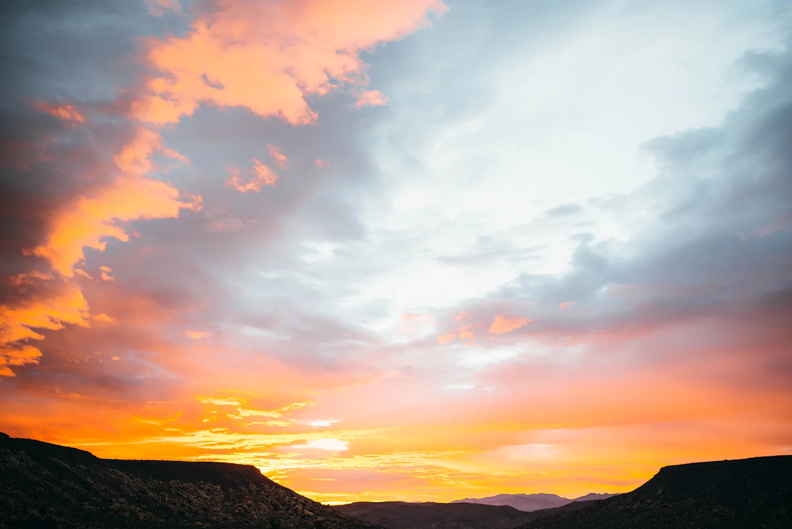 Joshuatree-10_websize.jpg