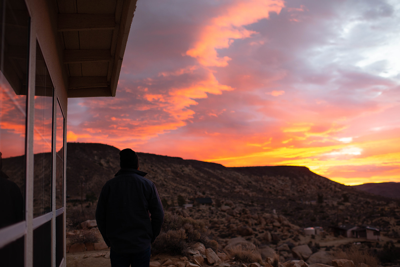 Joshuatree-8_websize.jpg