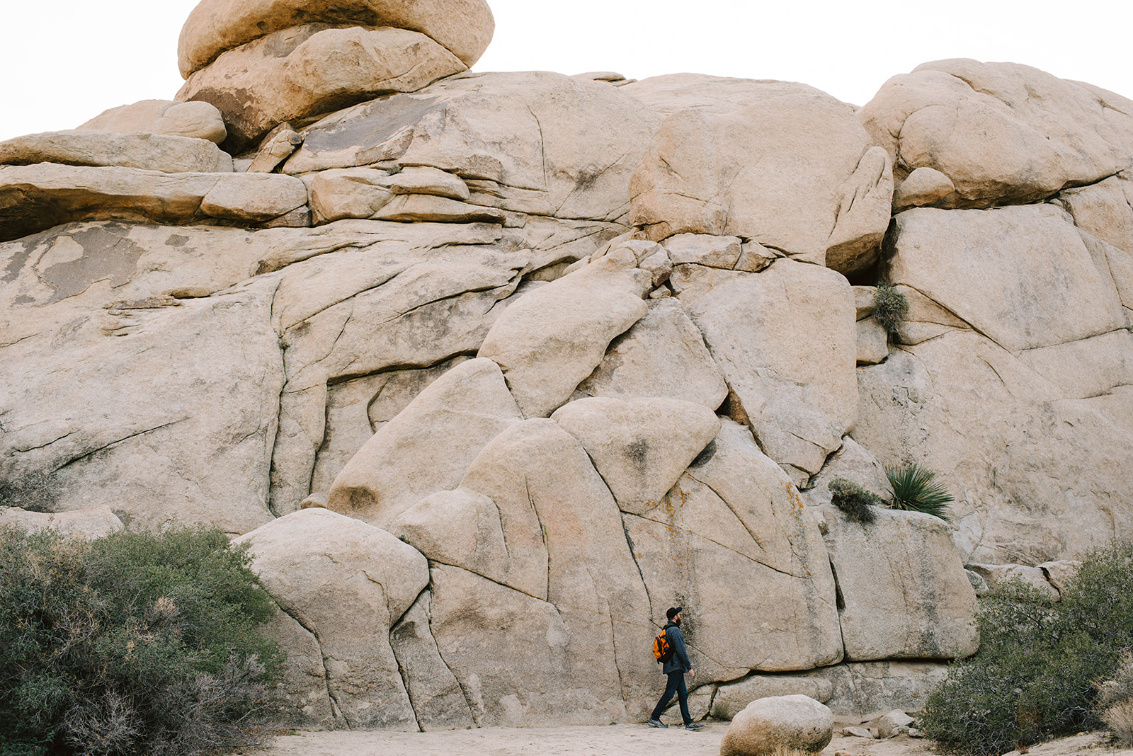 Joshuatree-36_websize.jpg