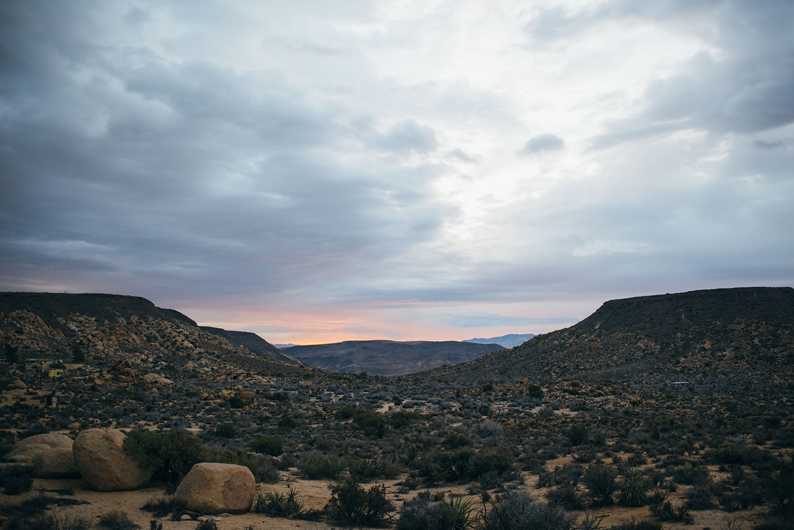 joshuatree-51_websize.jpg