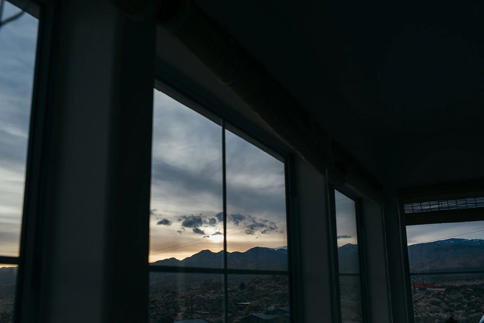 joshuatree-52_websize.jpg