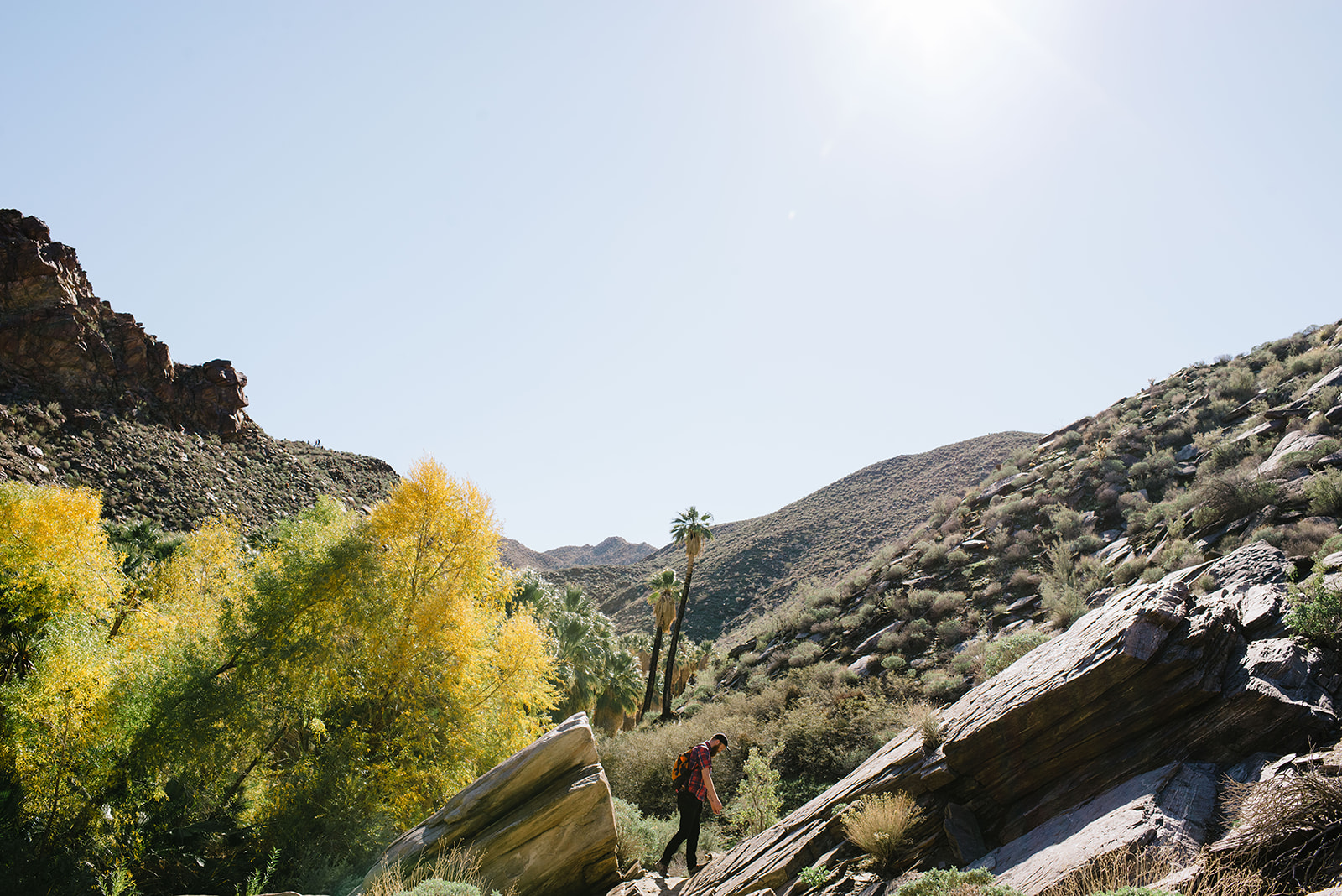 joshuatree-74_websize.jpg
