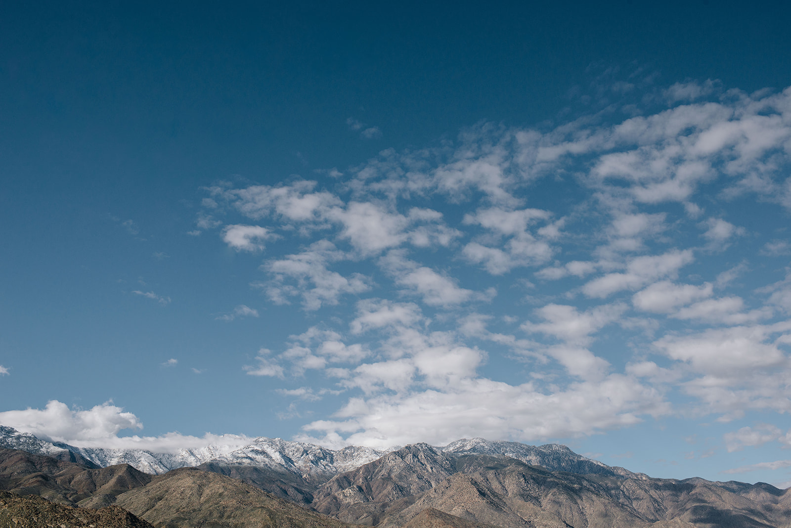 joshuatree-76_websize.jpg