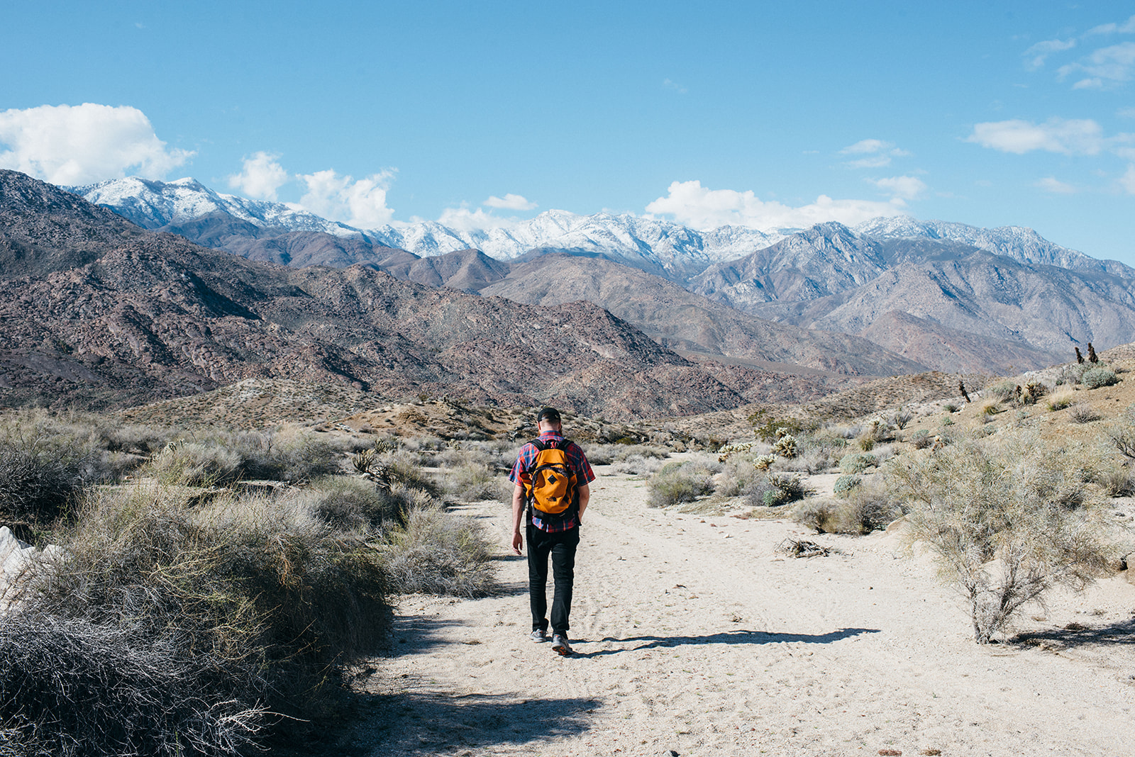 joshuatree-79_websize.jpg