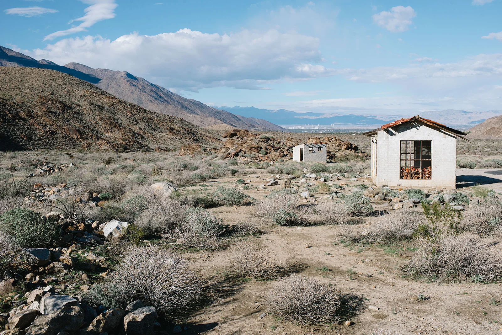 joshuatree-84_websize.jpg