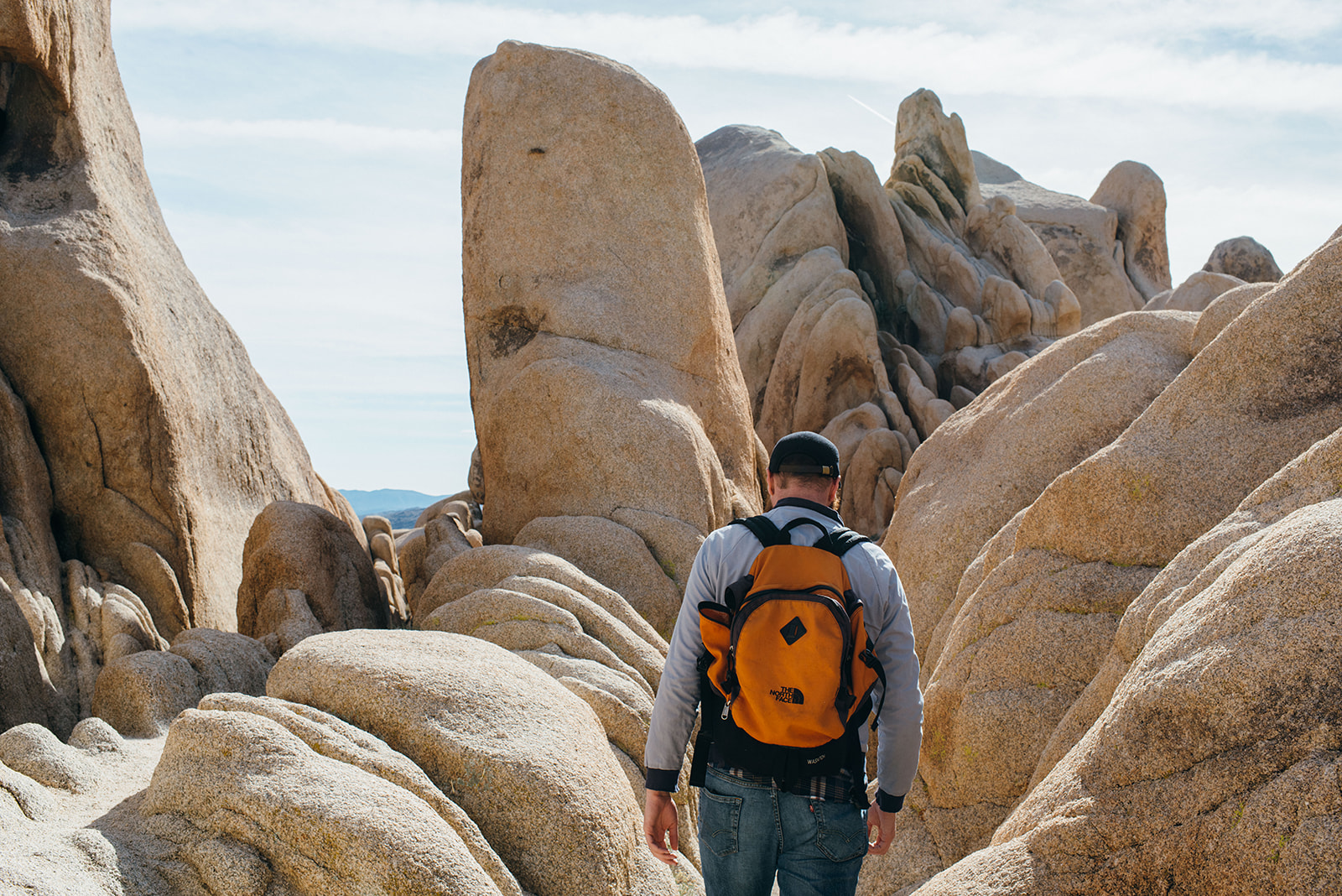 joshuatree-90_websize.jpg