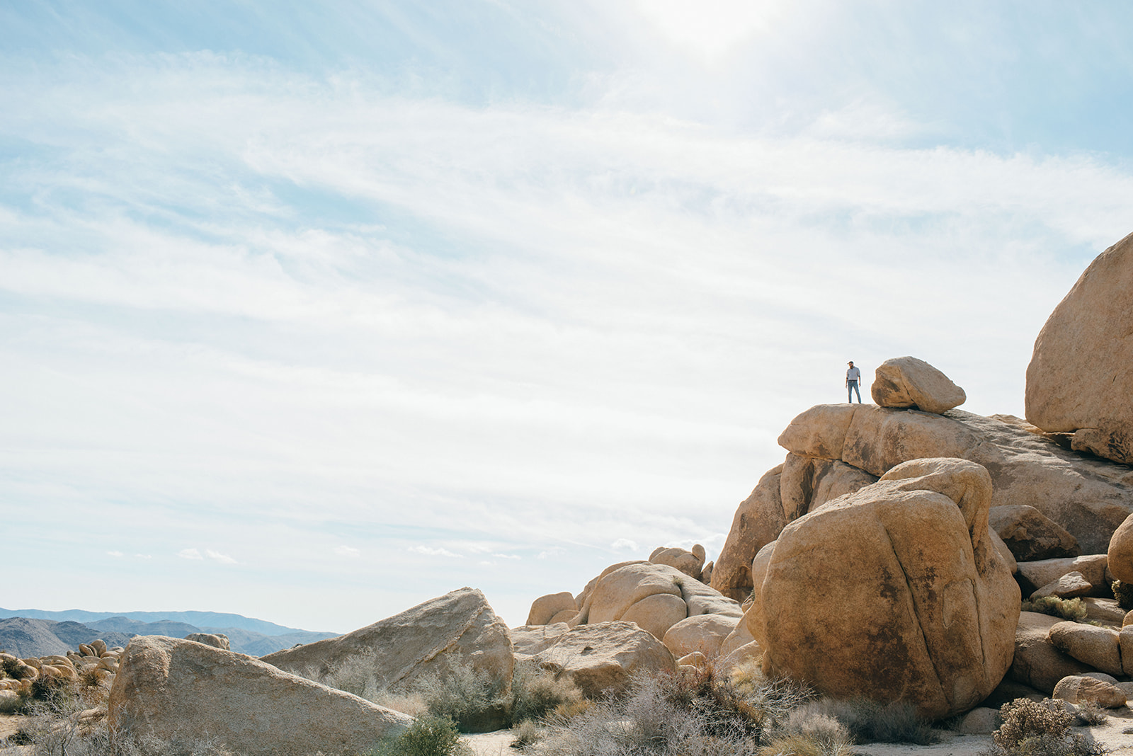 joshuatree-91_websize.jpg