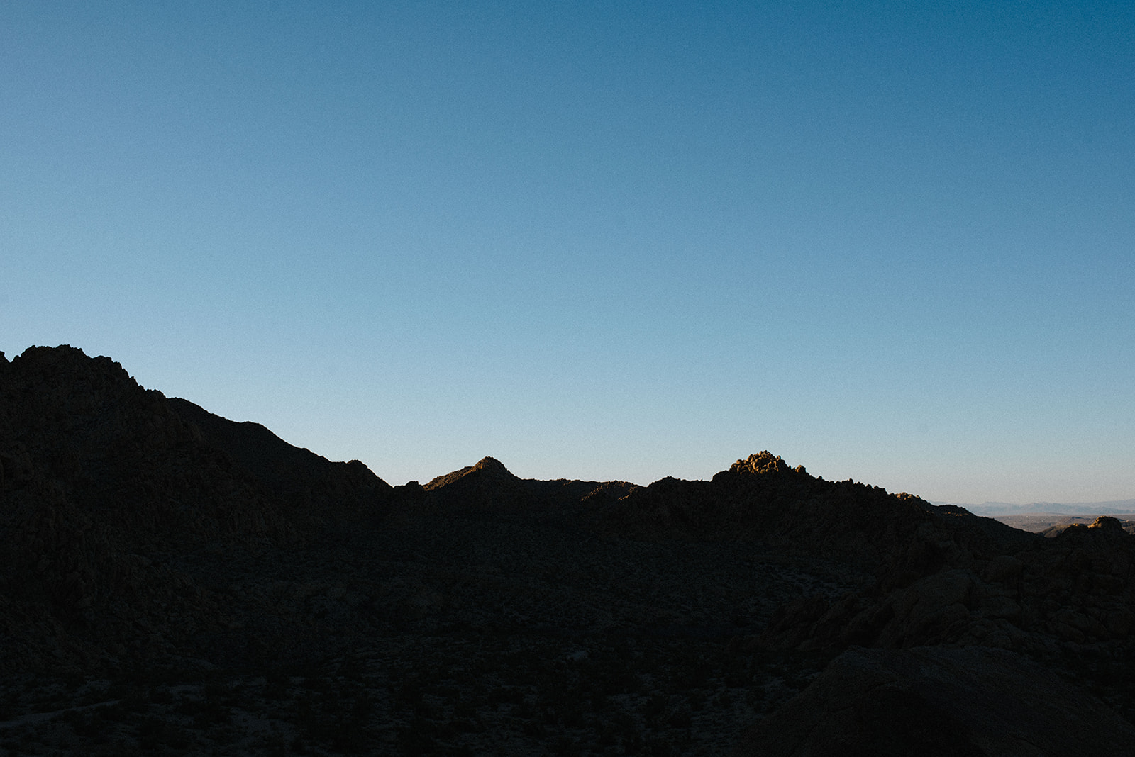 joshuatree-92_websize.jpg