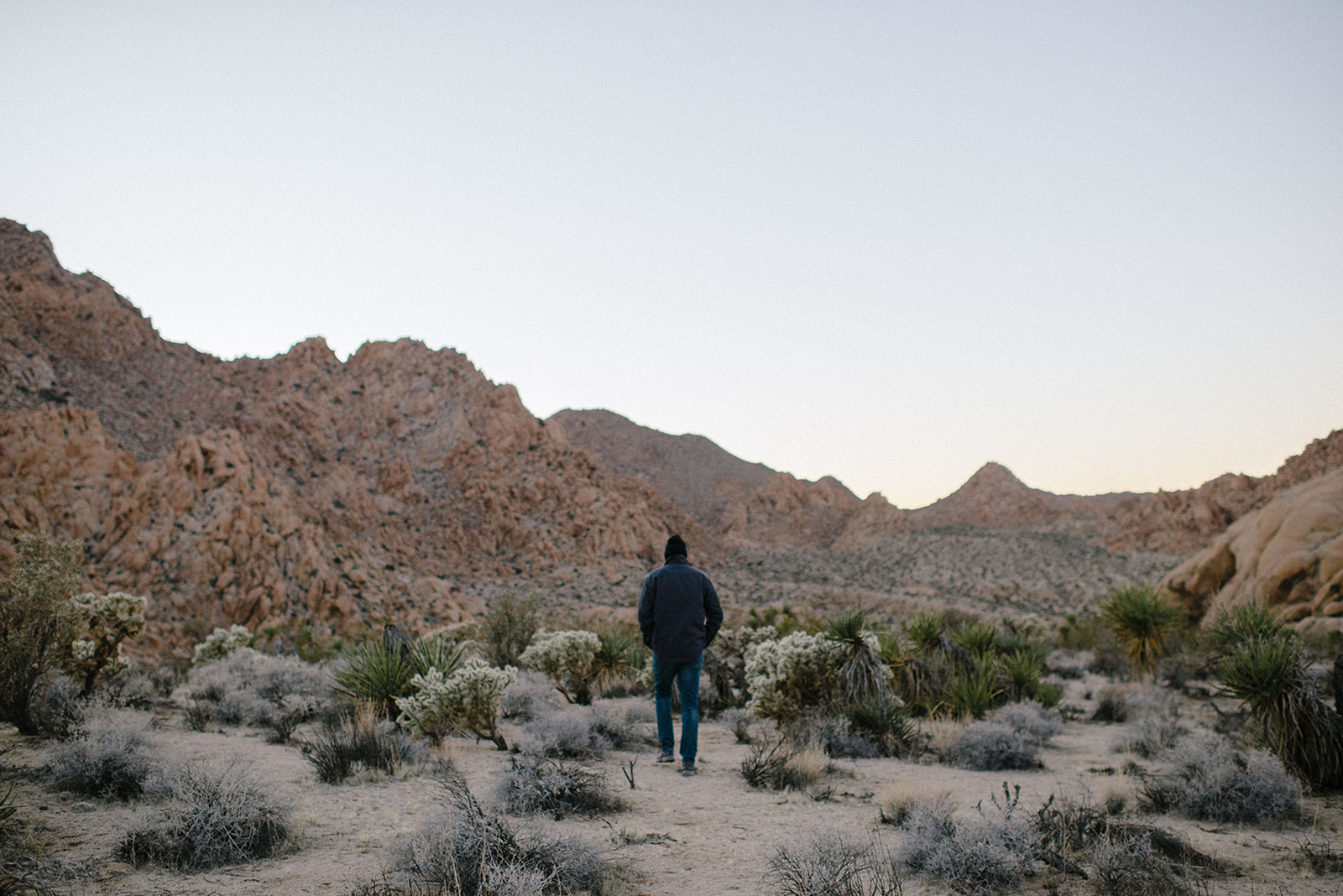joshuatree-100_websize.jpg