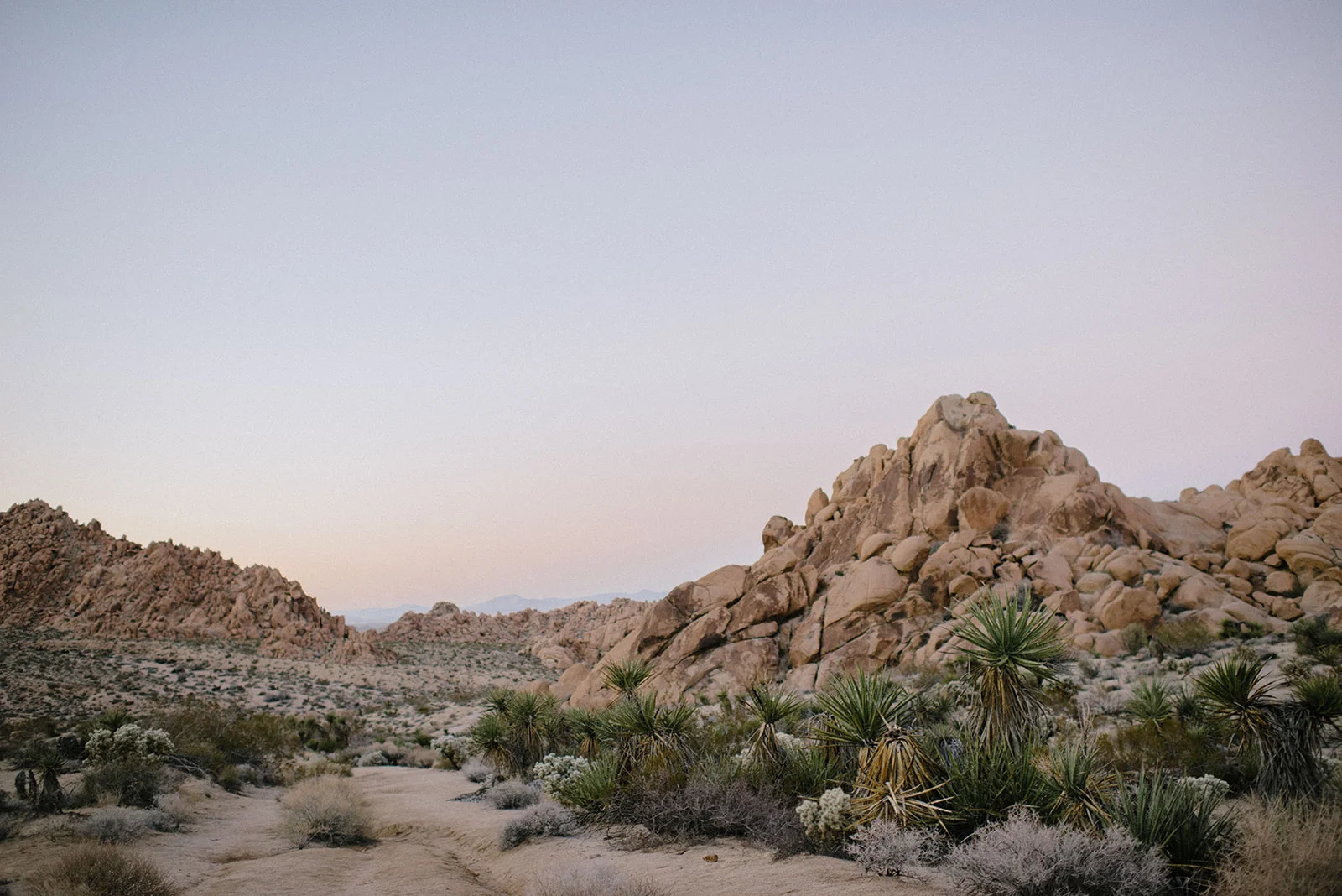 joshuatree-103_websize.jpg