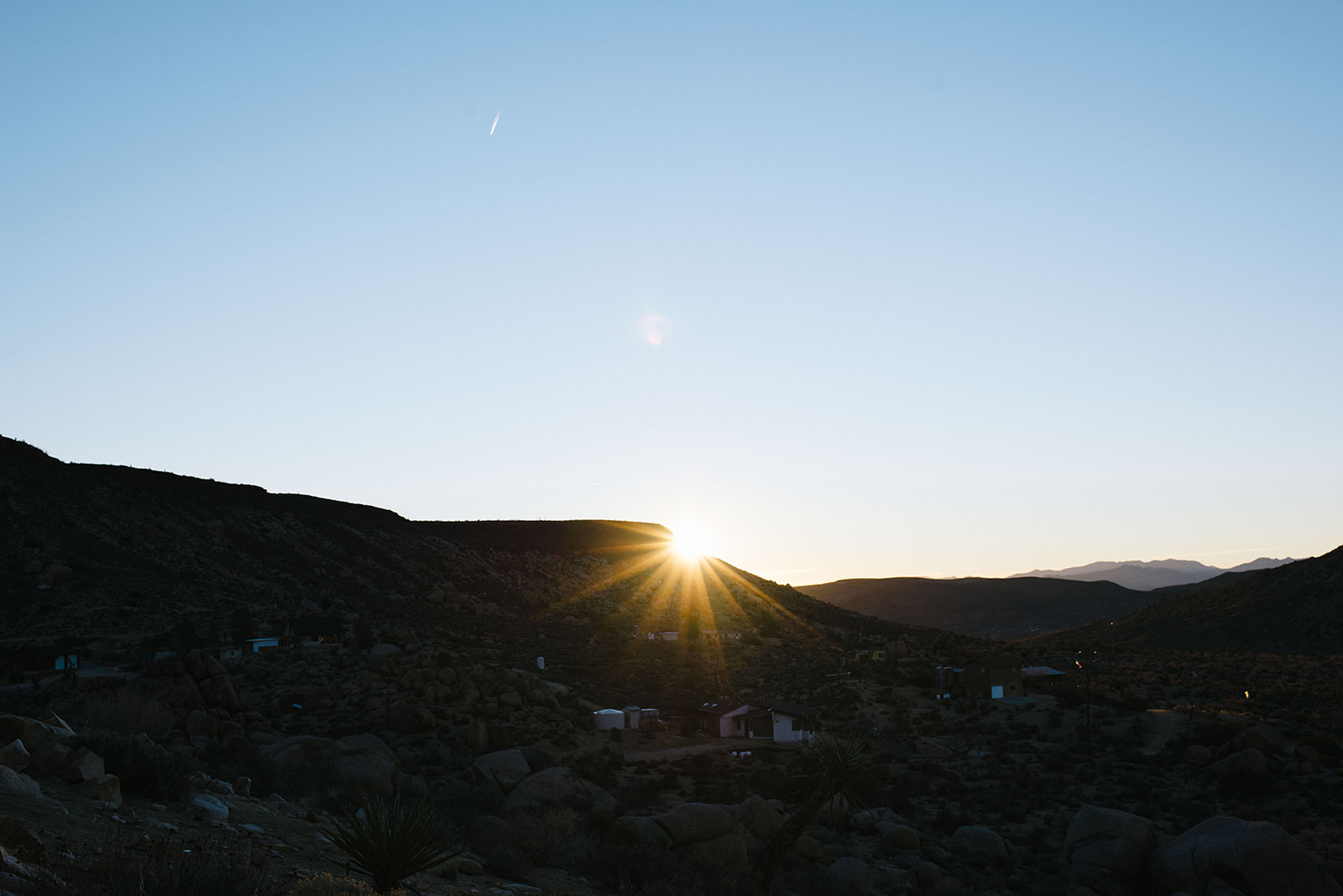 joshuatree-105_websize.jpg