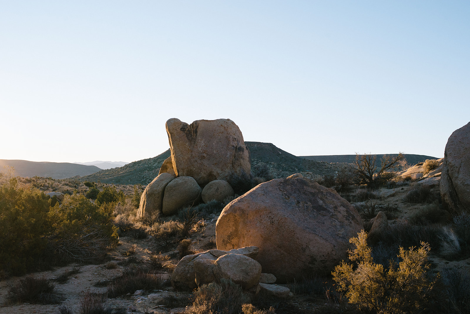 joshuatree-109_websize.jpg