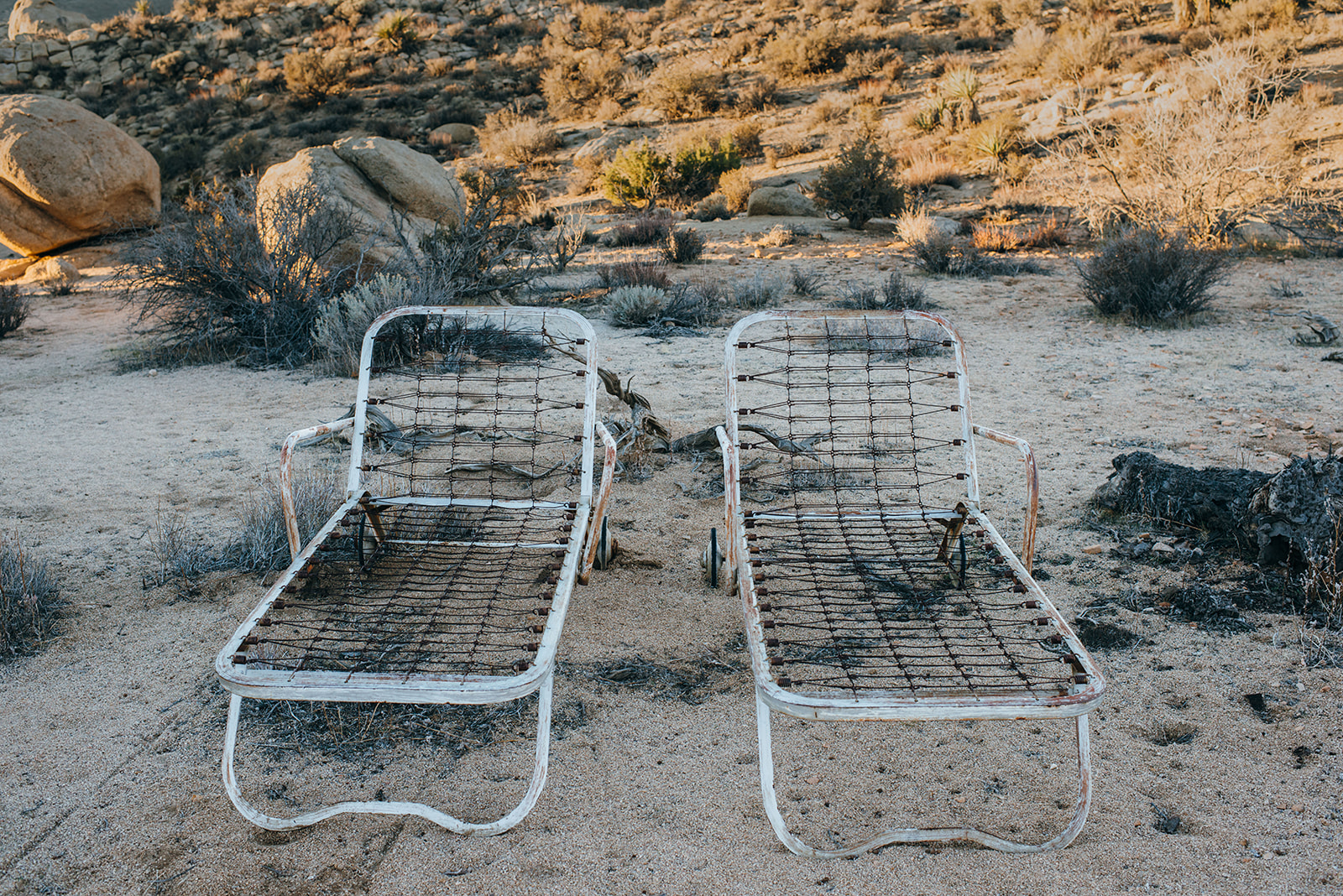 joshuatree-110_websize.jpg