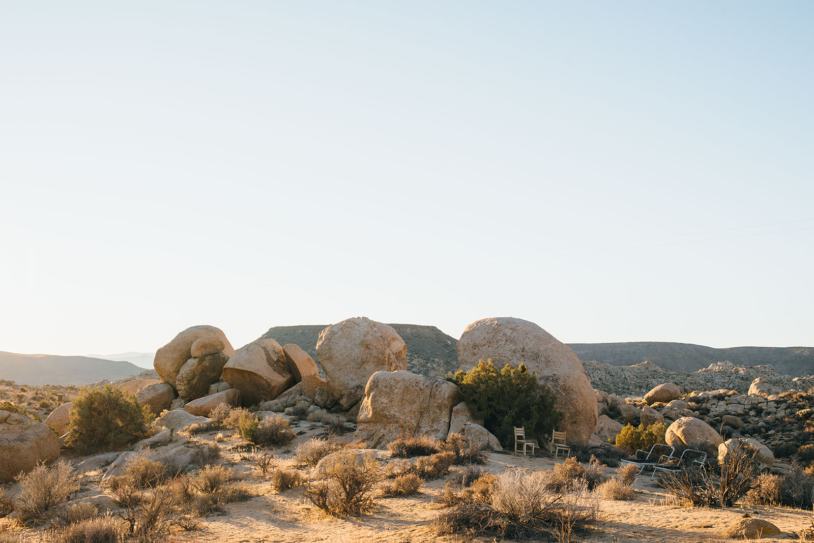 joshuatree-111_websize.jpg