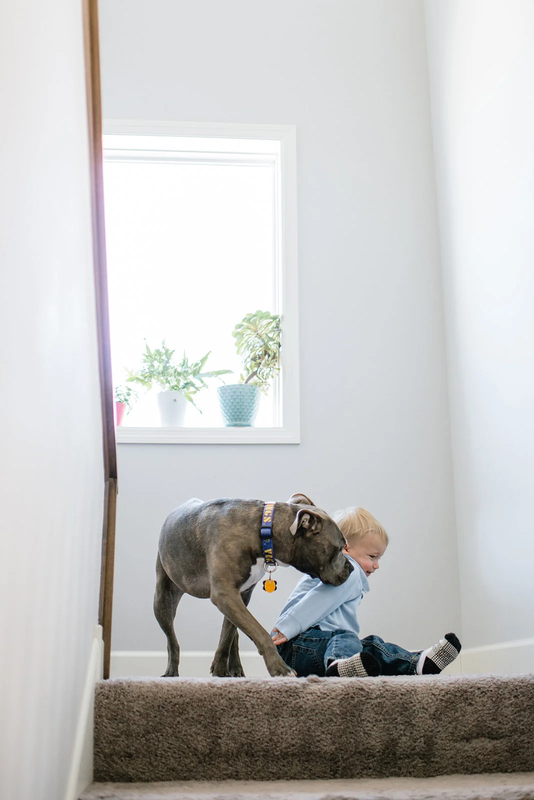 family-564_websize.jpg