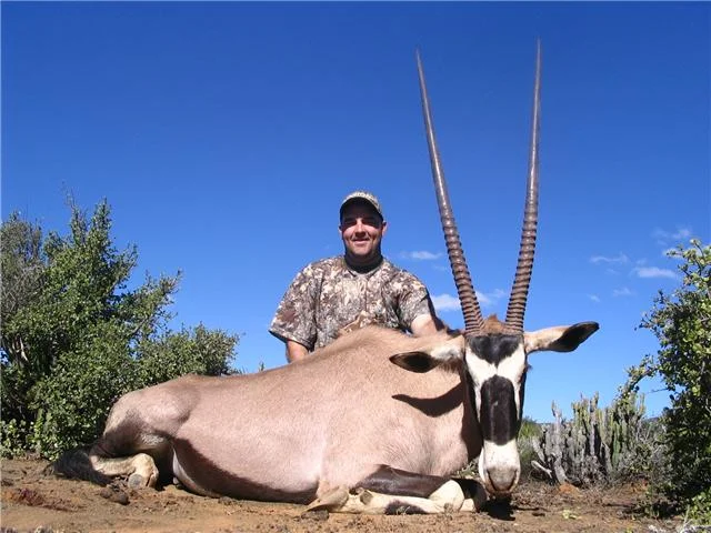 Munros Gemsbok.jpg