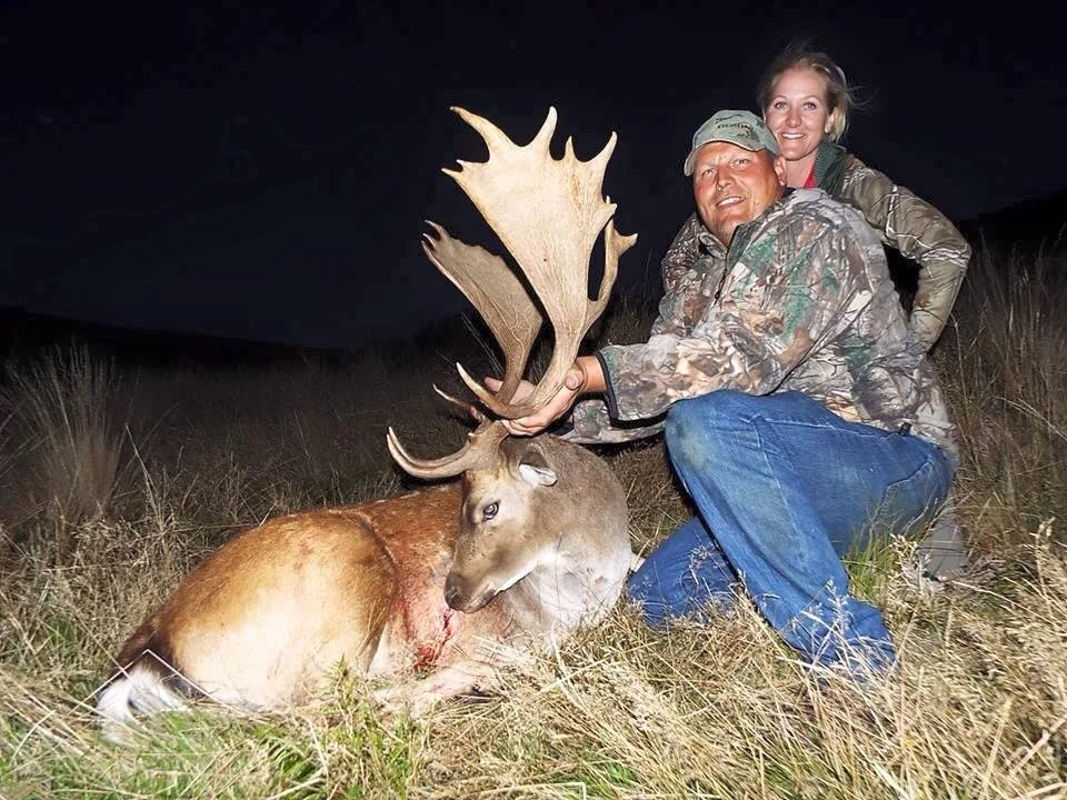 Deer - Graham Jenson.jpg