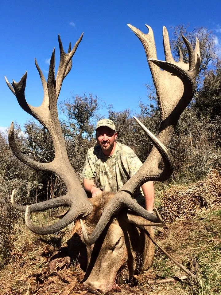 Stag - Rion White.jpg
