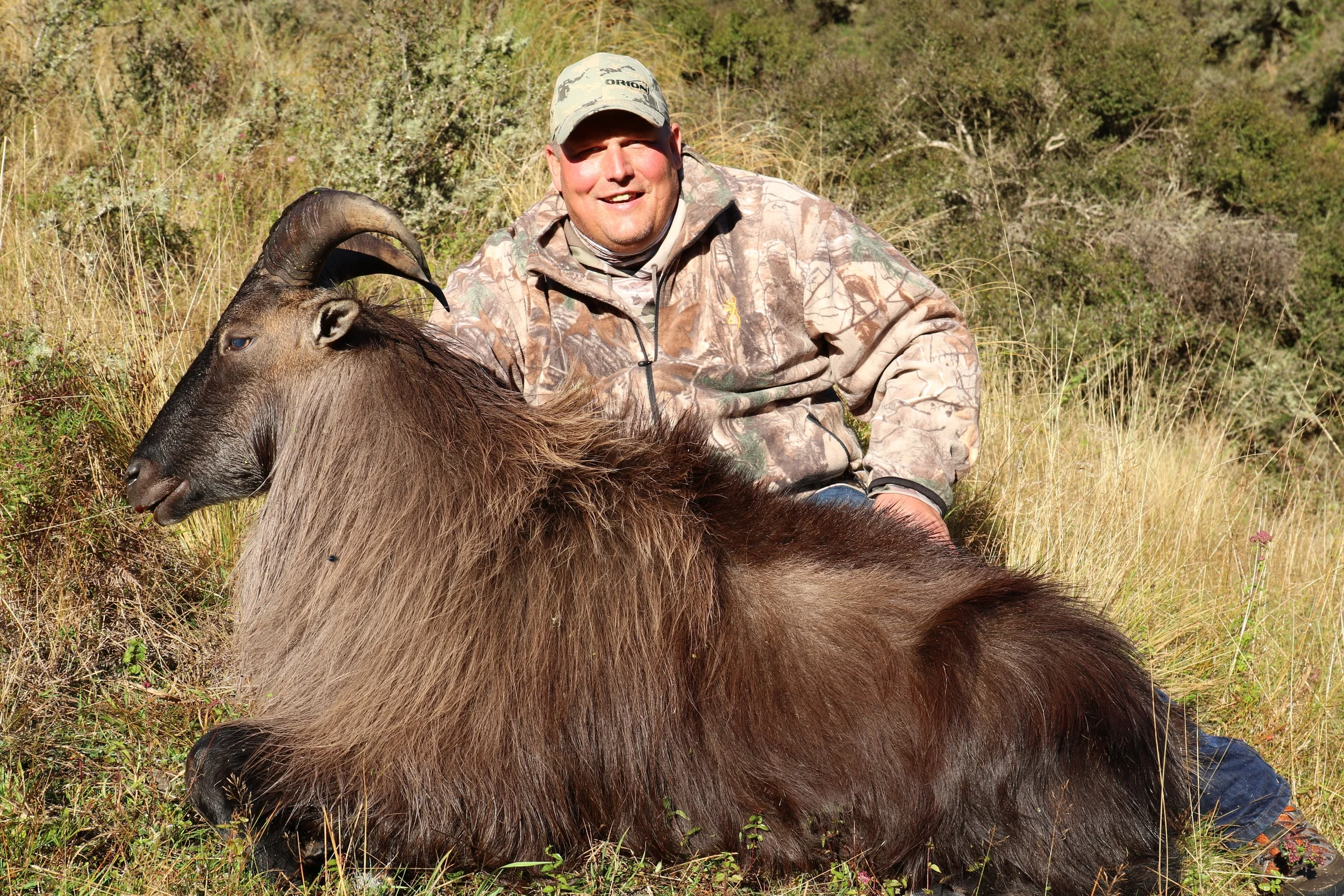 Tahr - Graham Jenson.jpg