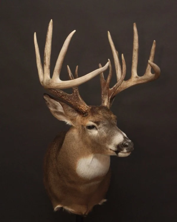 FullSizeRender.jpg