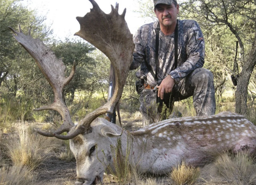11-Gold-Medal-Fallow-Deer-900x650.jpg