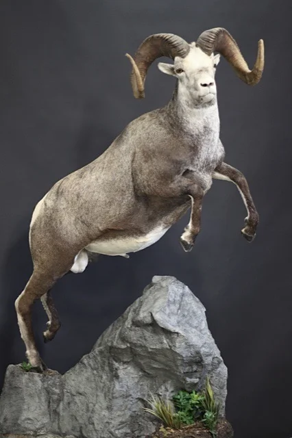 Stone.jpg