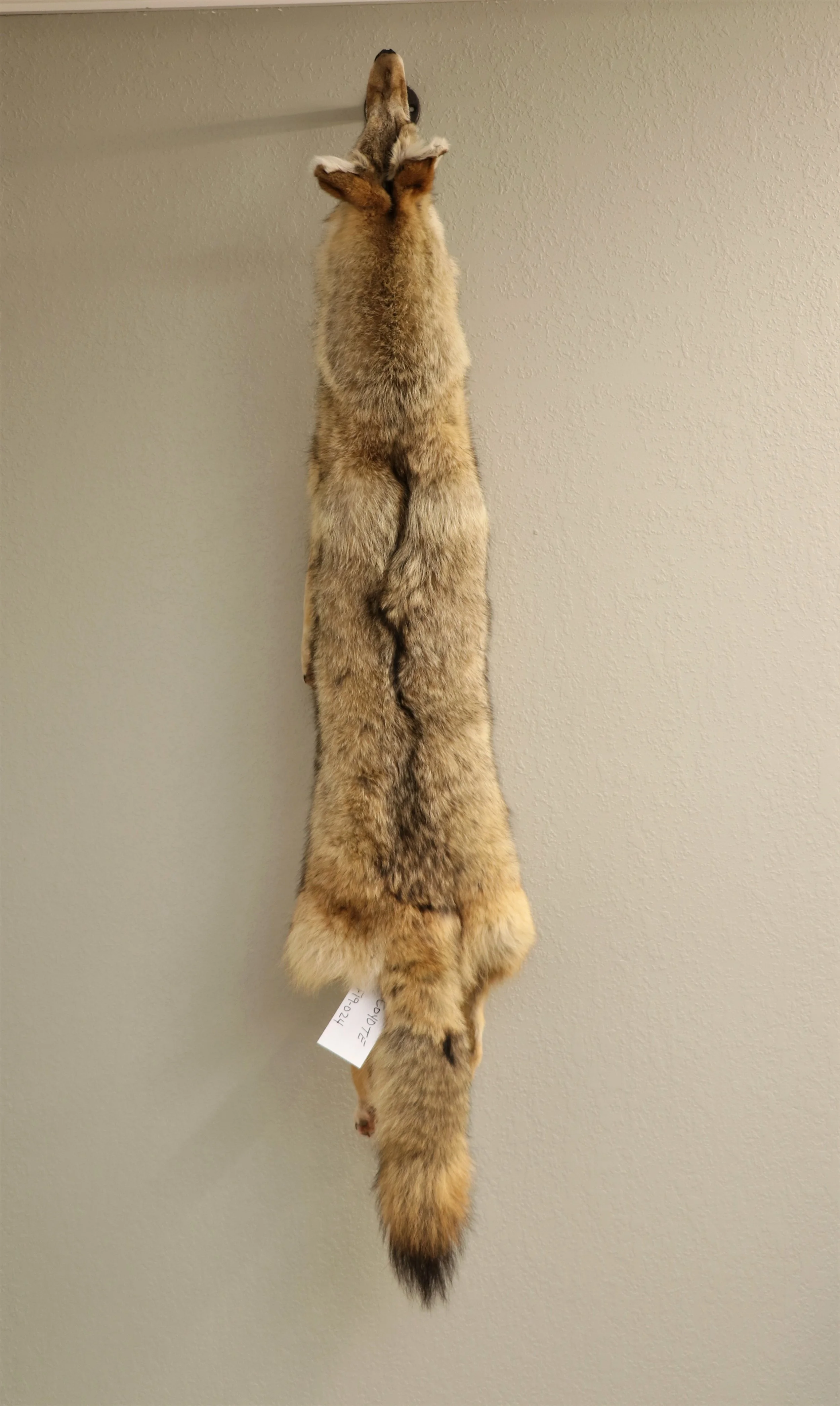 Coyote Soft Tan