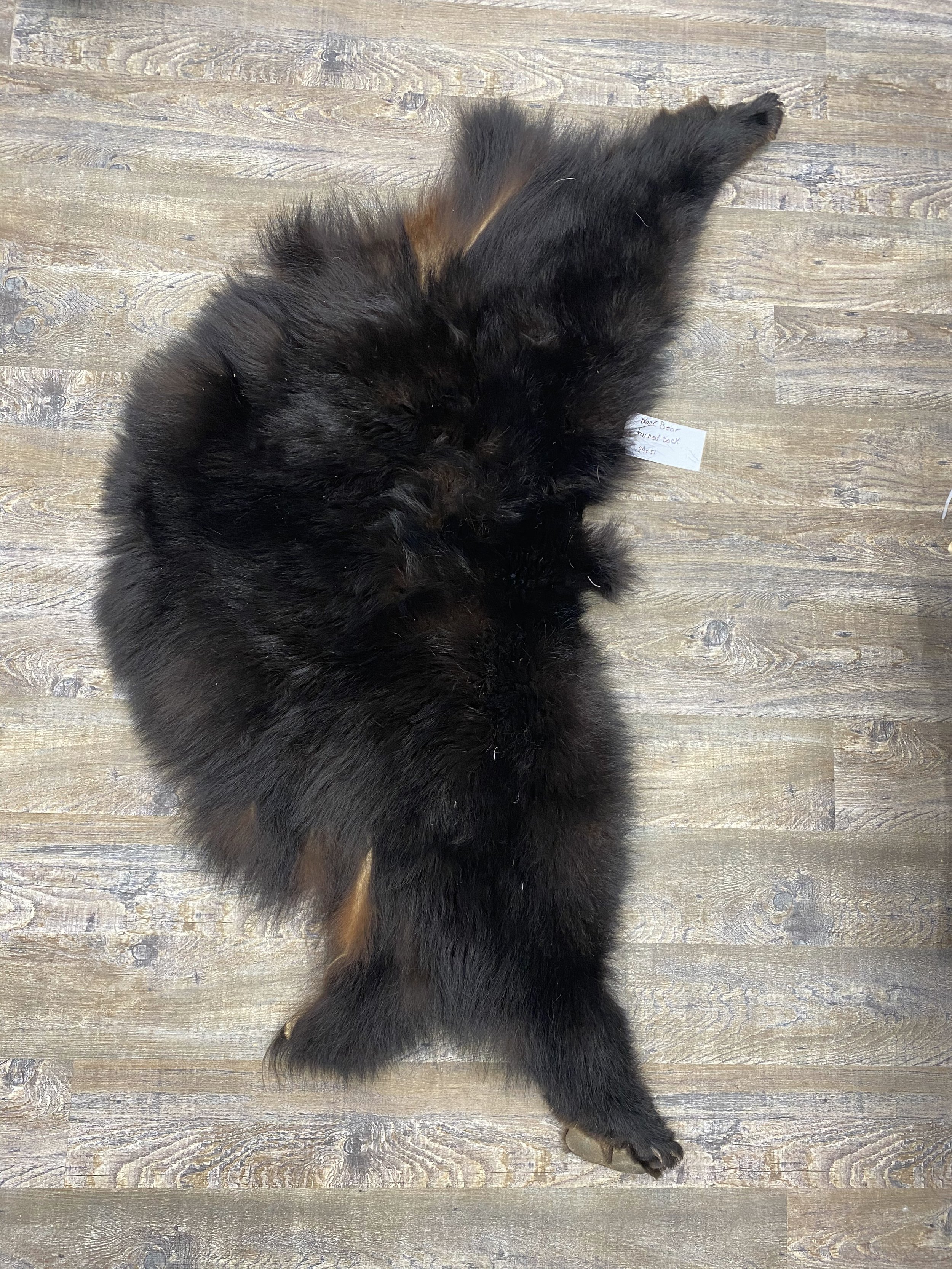 Black Bear backskin