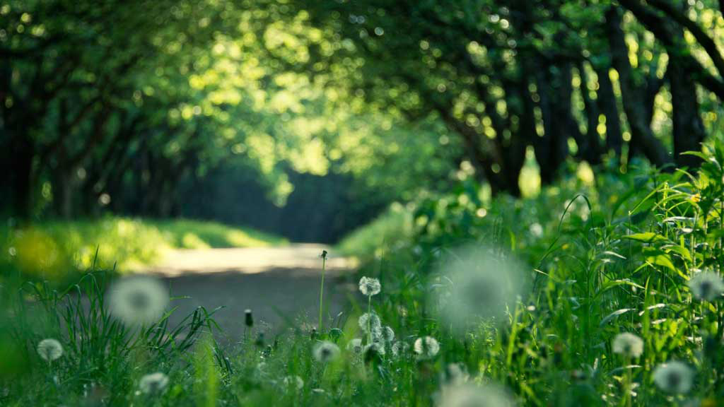 "Everything can be taken from you but the freedom to choose your attitude."