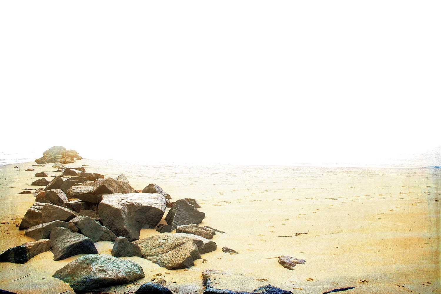 Cape Cod