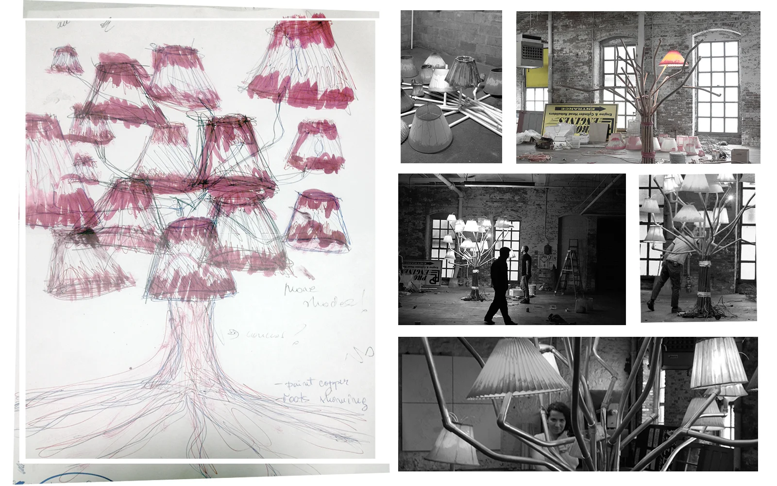 making of Transplant