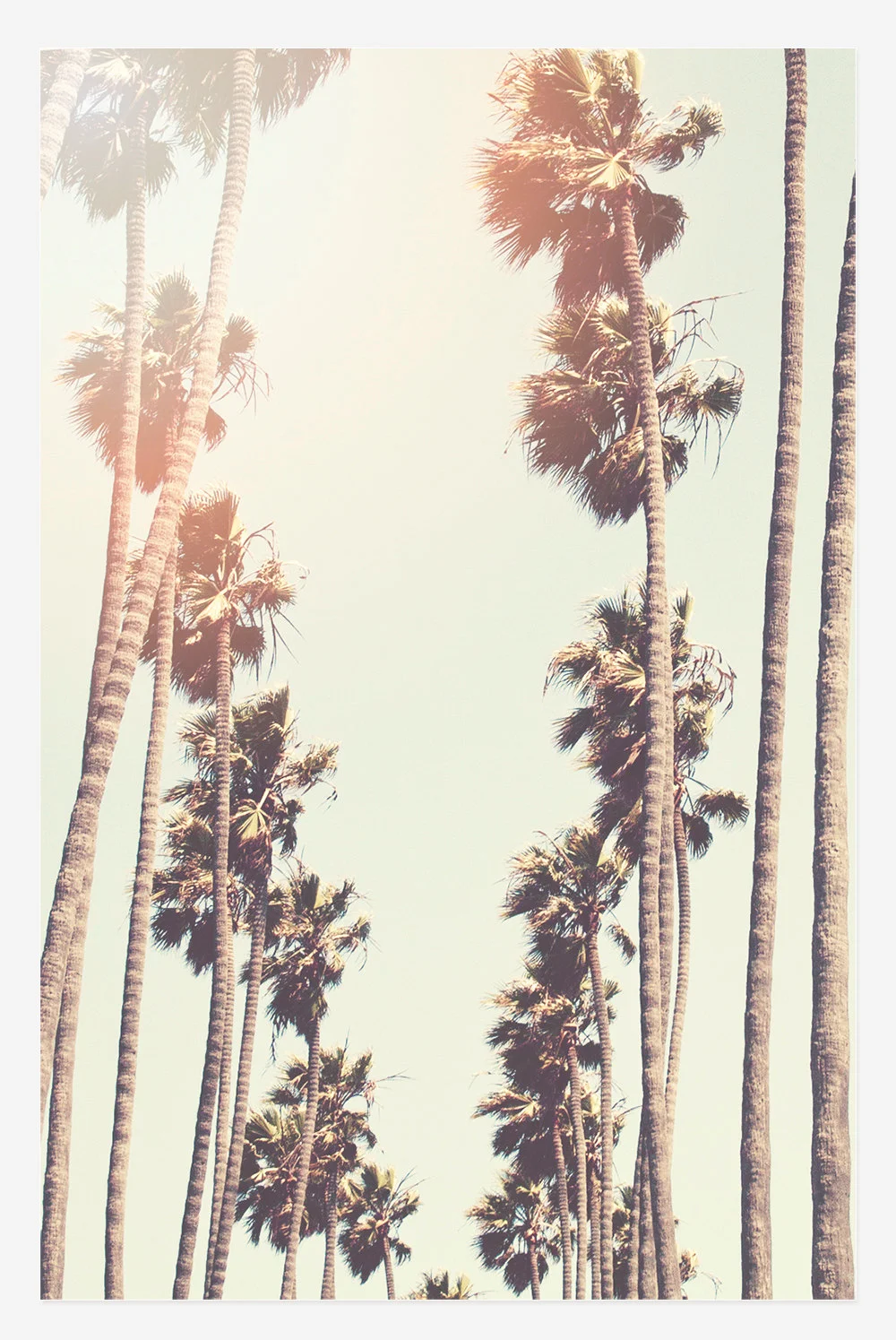 la.jpg