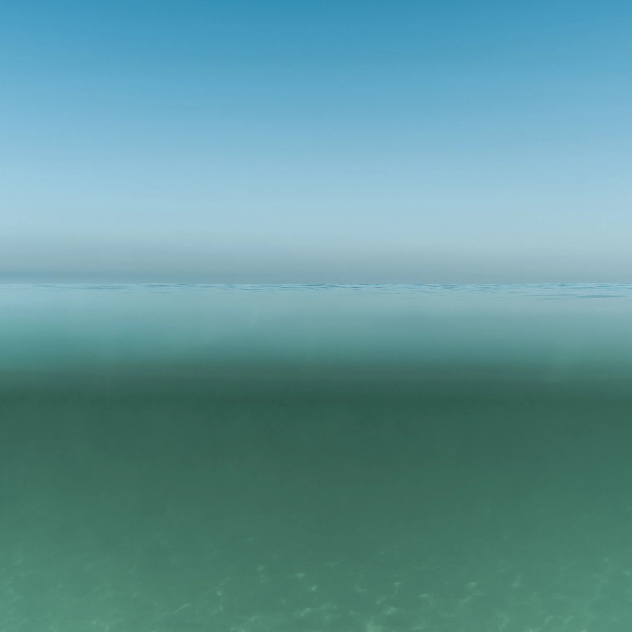 _AMC6815_1.jpg