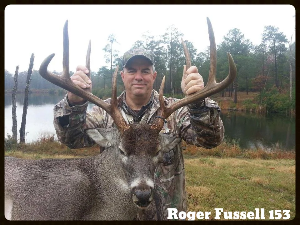 fussel deer 2013.jpg