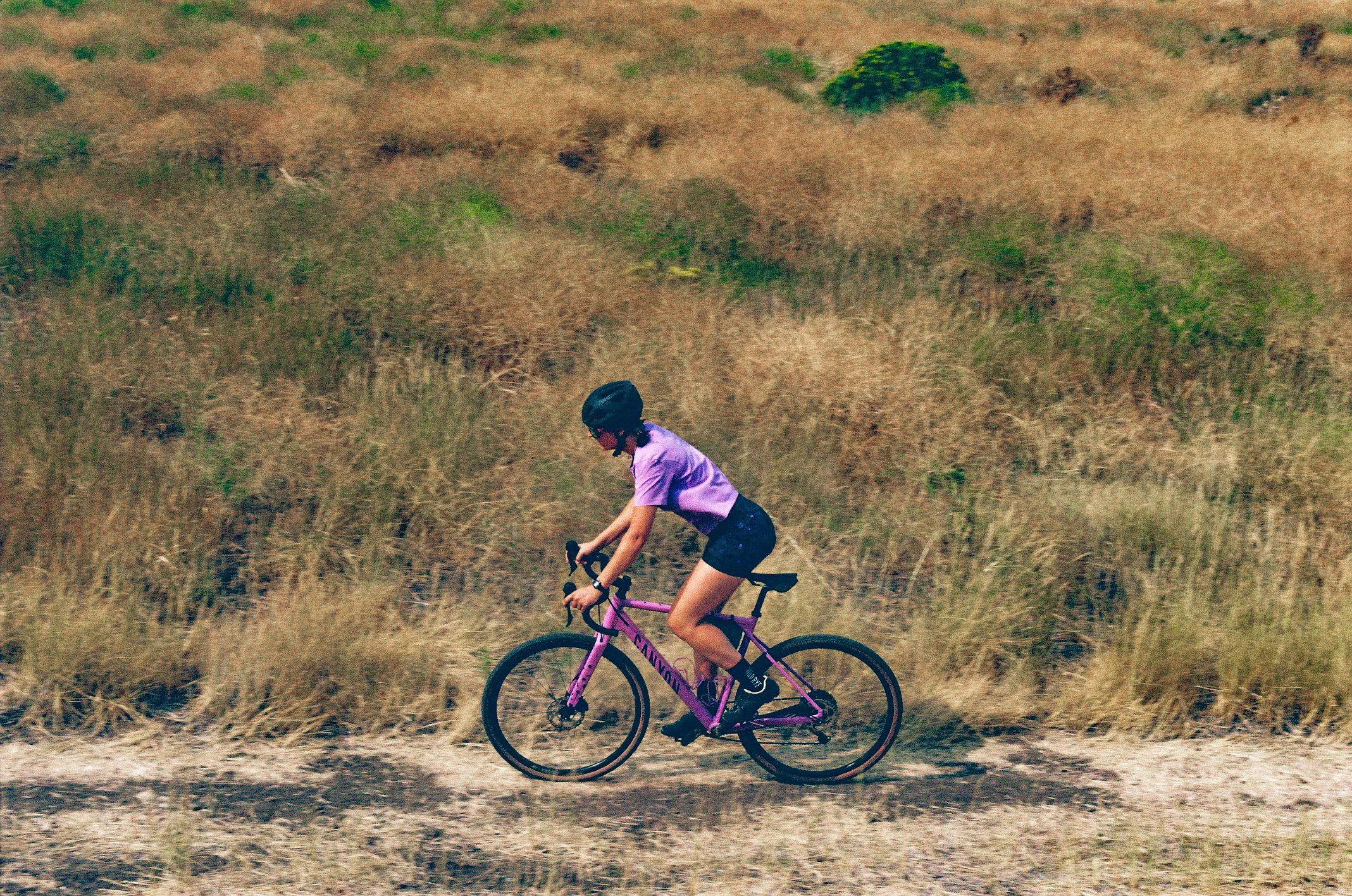 WildRye 25 Extra-15.jpg