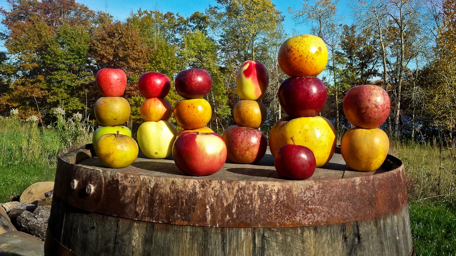 Alcohol, Alcoholic Cider, apples, beverage, cider, cidery, Craft Beer, Gluten Free, Hard, heirloom, Milk & Honey, Milk & Honey Ciders, Milk and Honey, Milk and Honey Ciders, Minnesota cider, Cider,