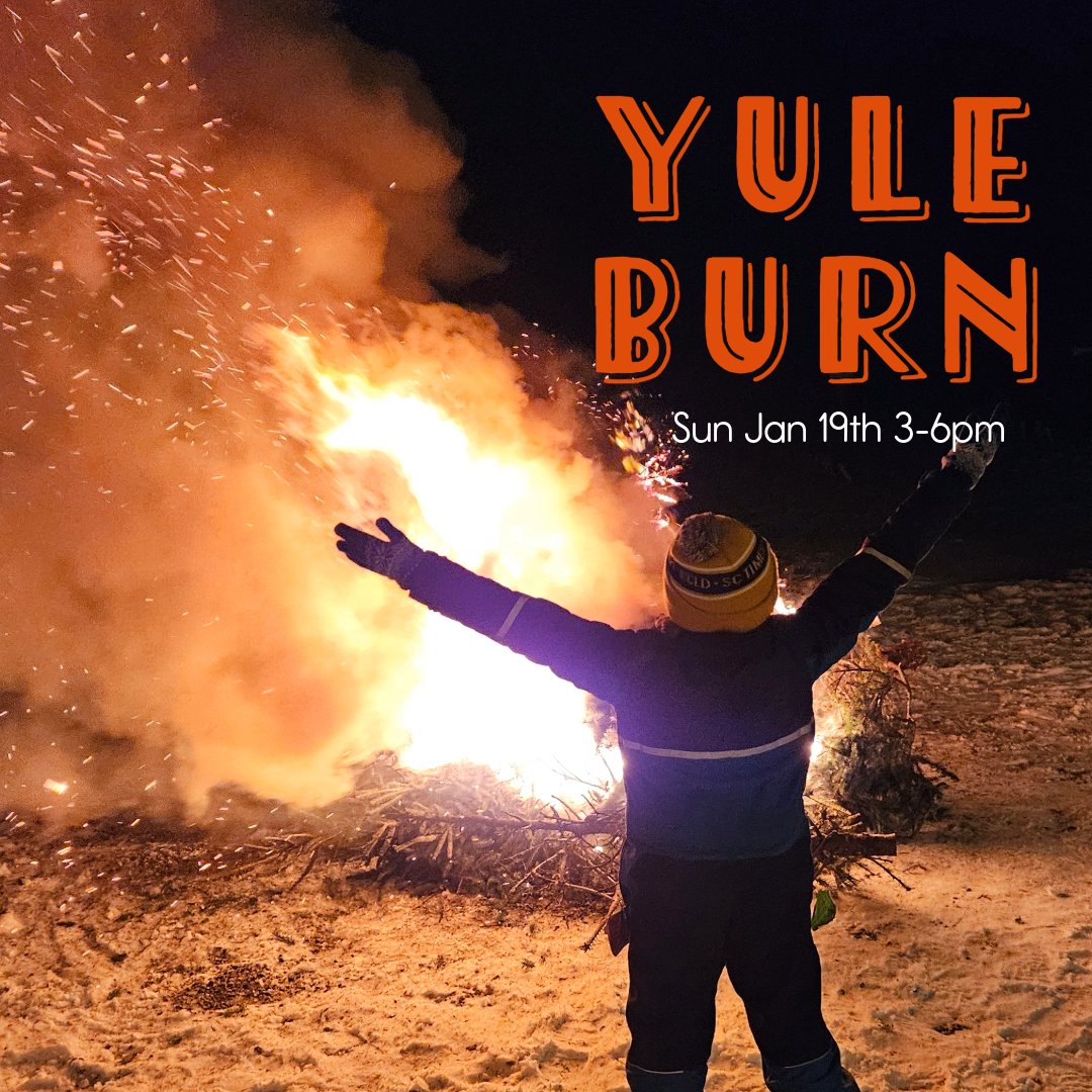Yule Burn : holiday tree burn and live music