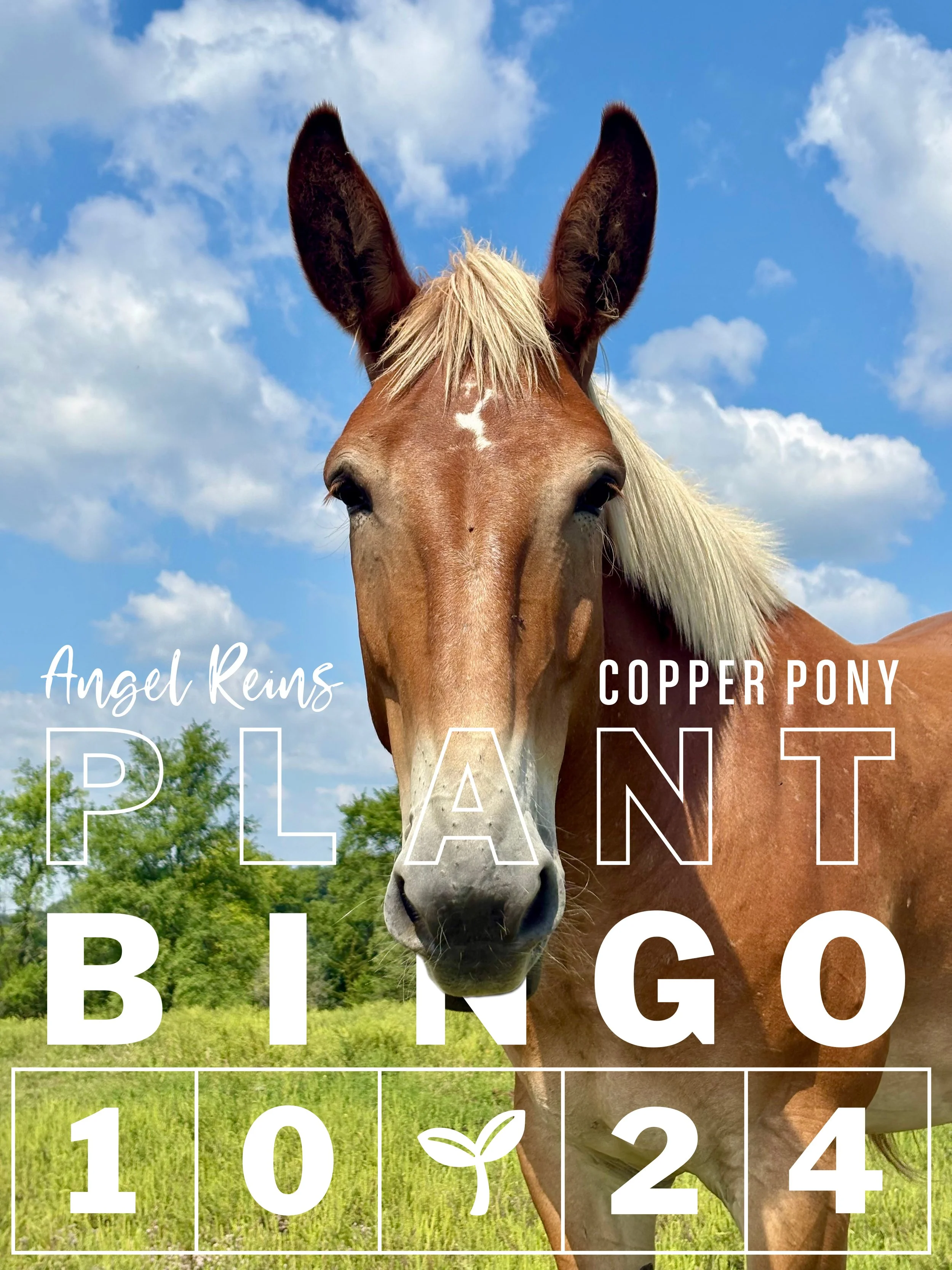 Plant Bingo benefiting Angel Reins 