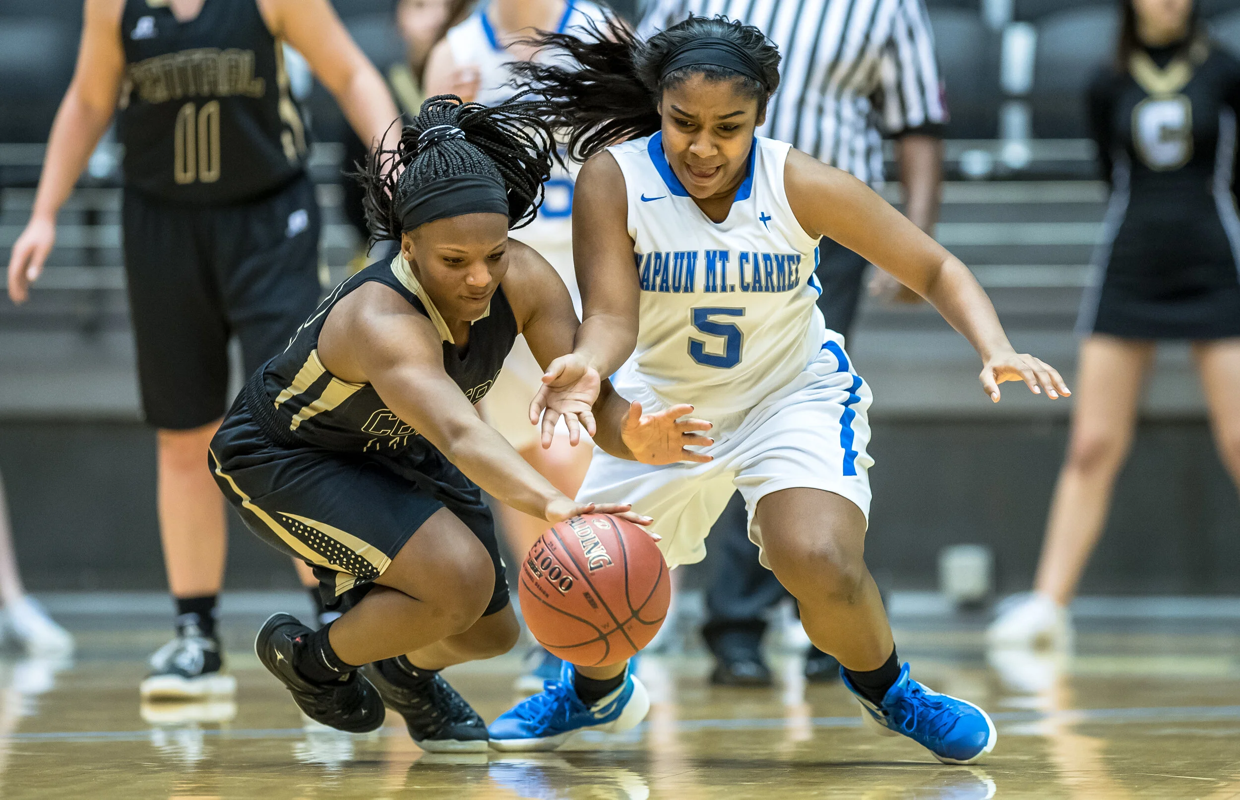 01 0151 GWAL V AVCTL.JPG