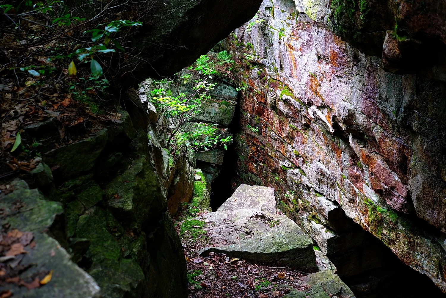 L1001032_1500.jpg