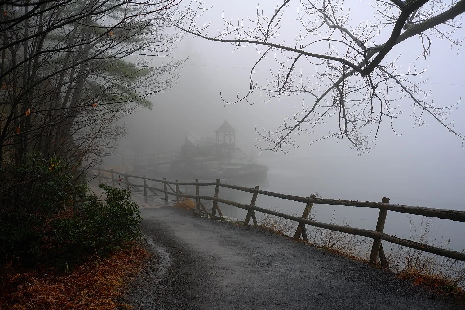 L1001110_1500.jpg