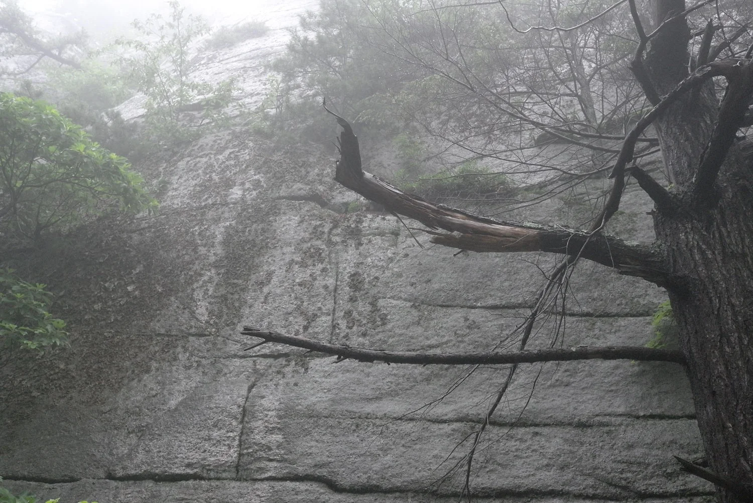 L1000540_1500.jpg