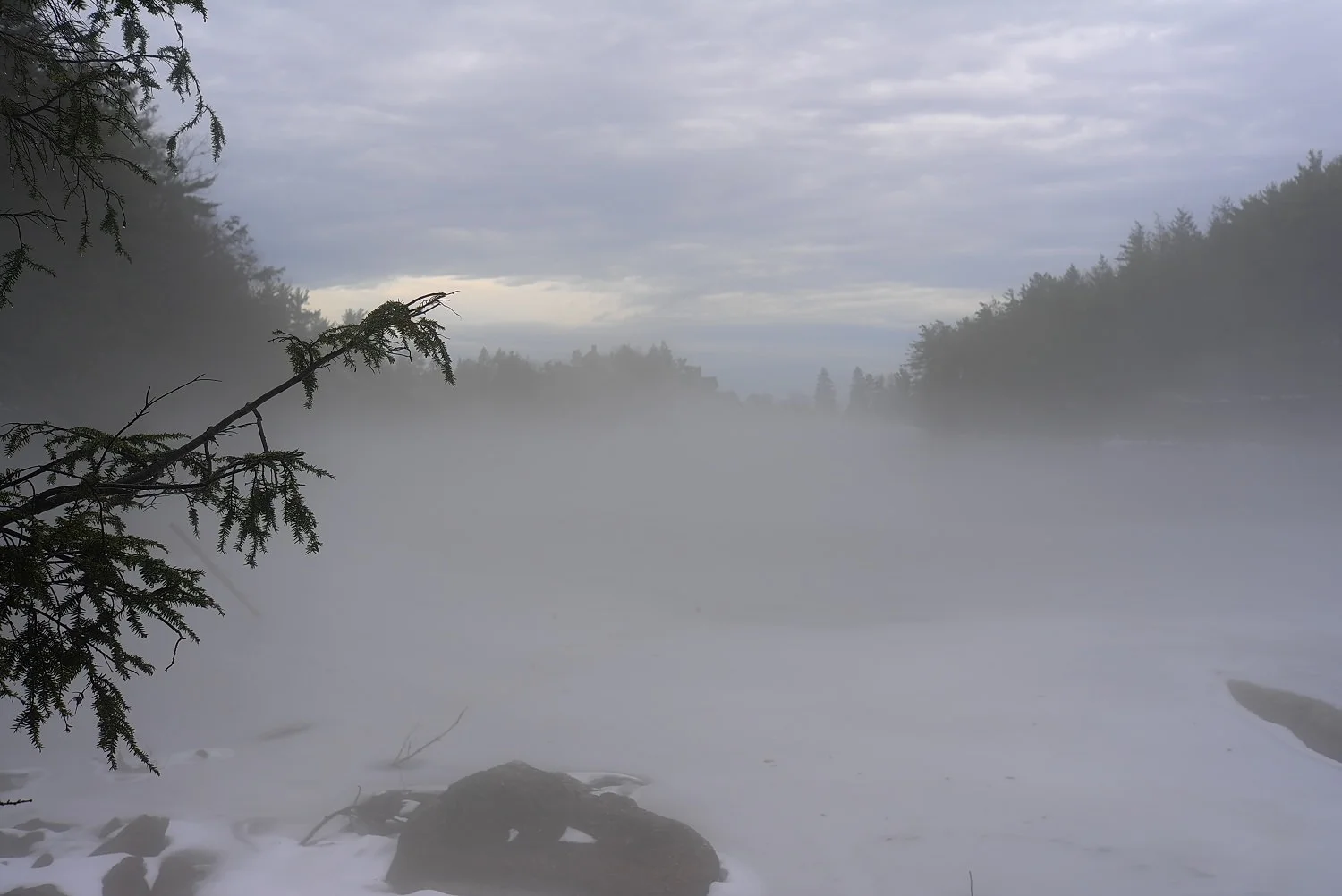 L1001104_1500.jpg