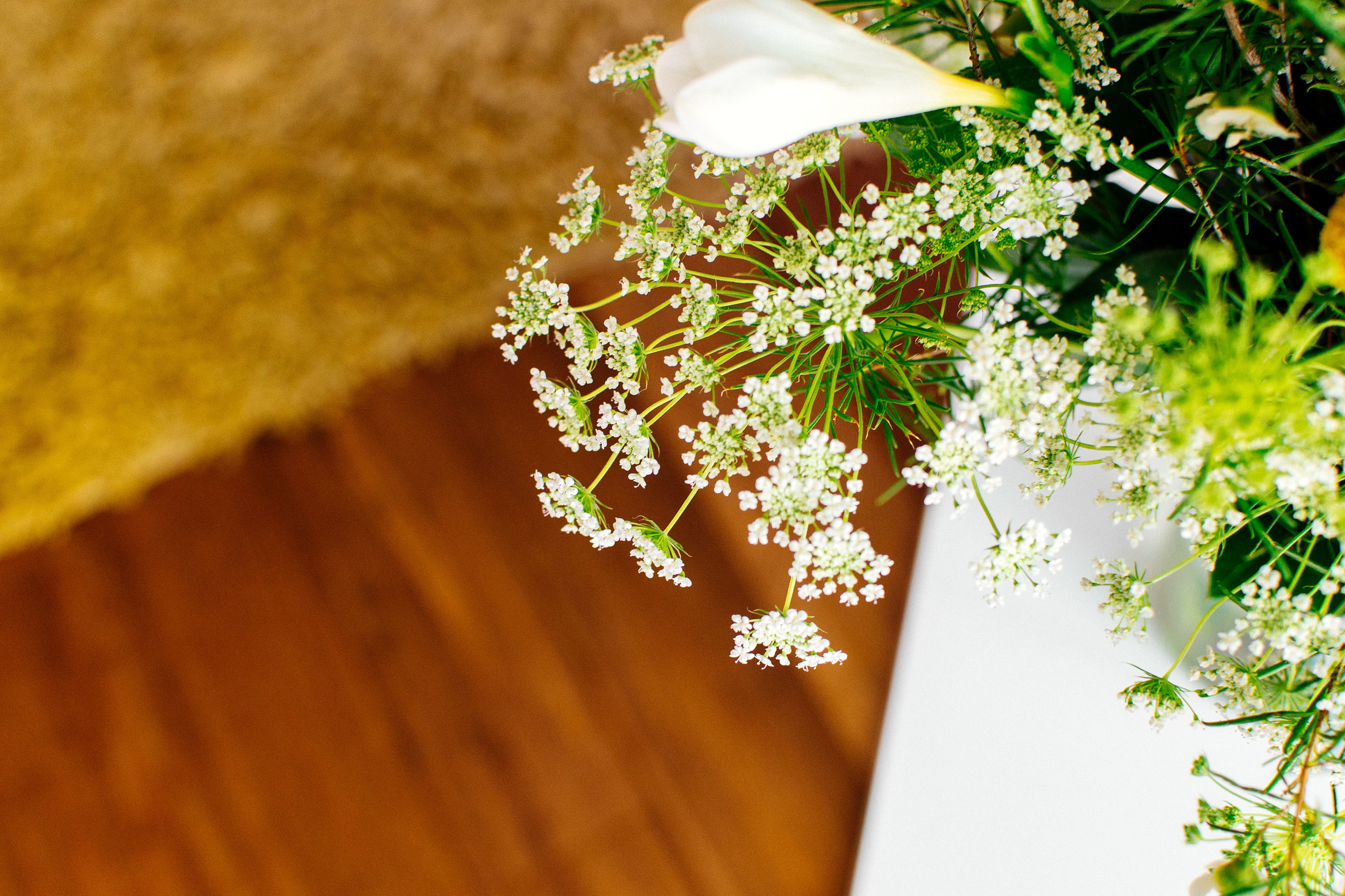 plants-7.jpg