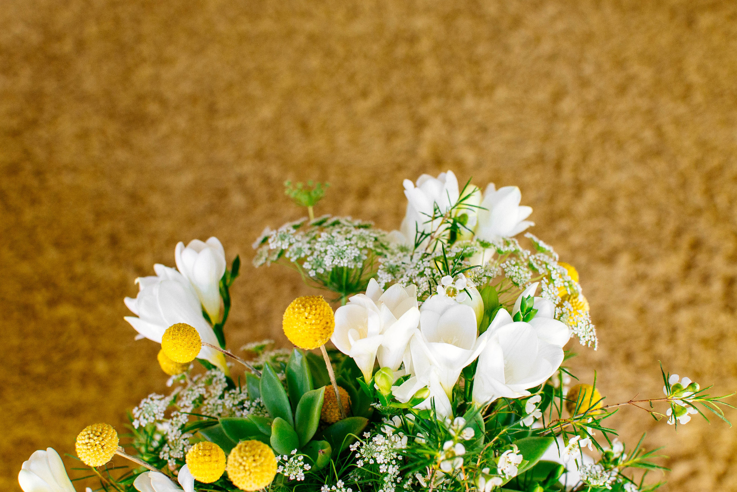 plants-10.jpg